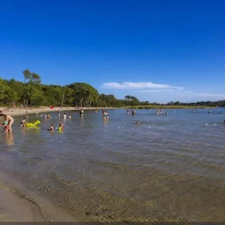 Bisca Sun